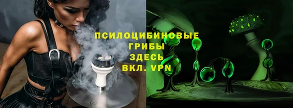apvp Абаза