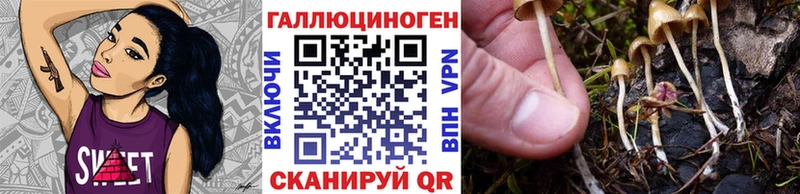 даркнет сайт  Зубцов  mega как зайти  Галлюциногенные грибы мицелий 